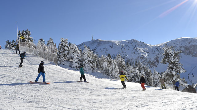 Masella